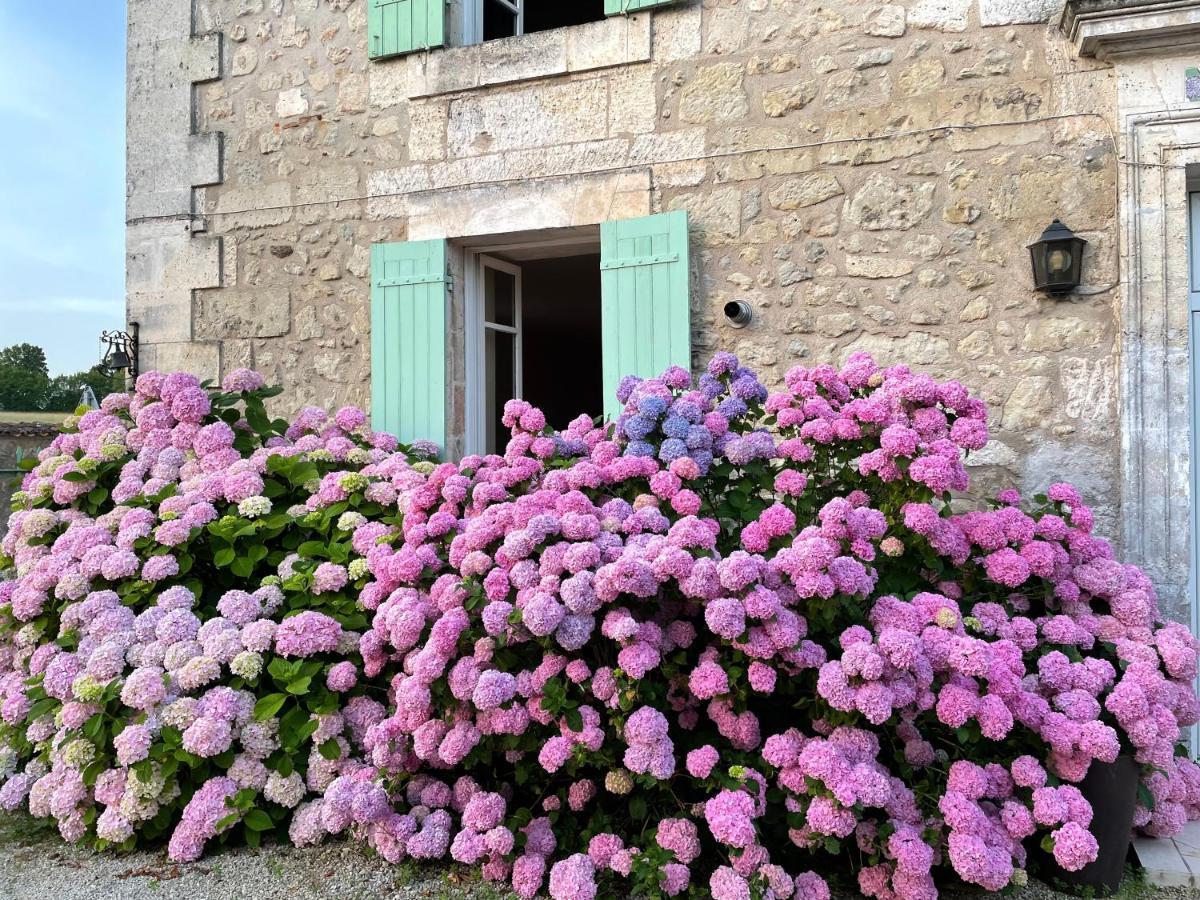 La Maison D'Hortense Et Lili Allemans Екстер'єр фото