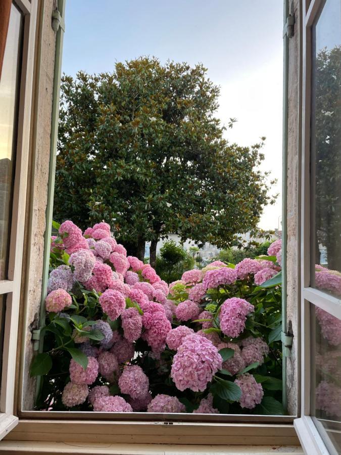 La Maison D'Hortense Et Lili Allemans Екстер'єр фото